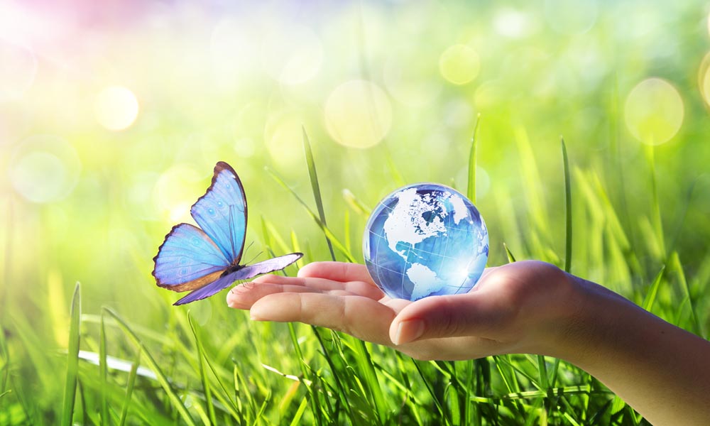 Sosyal Sorumluluk Projeleri Geliştirme